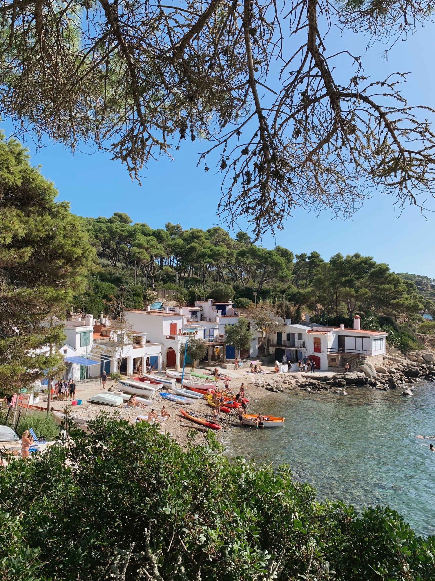 Emporda Forest Course in Costa Brava Spanish pine forests