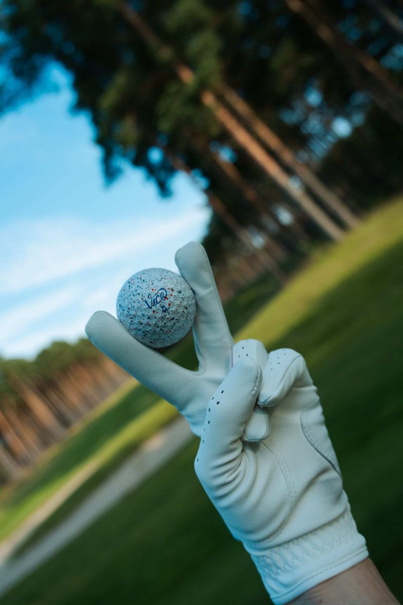 Scenic links fairway with ocean backdrop