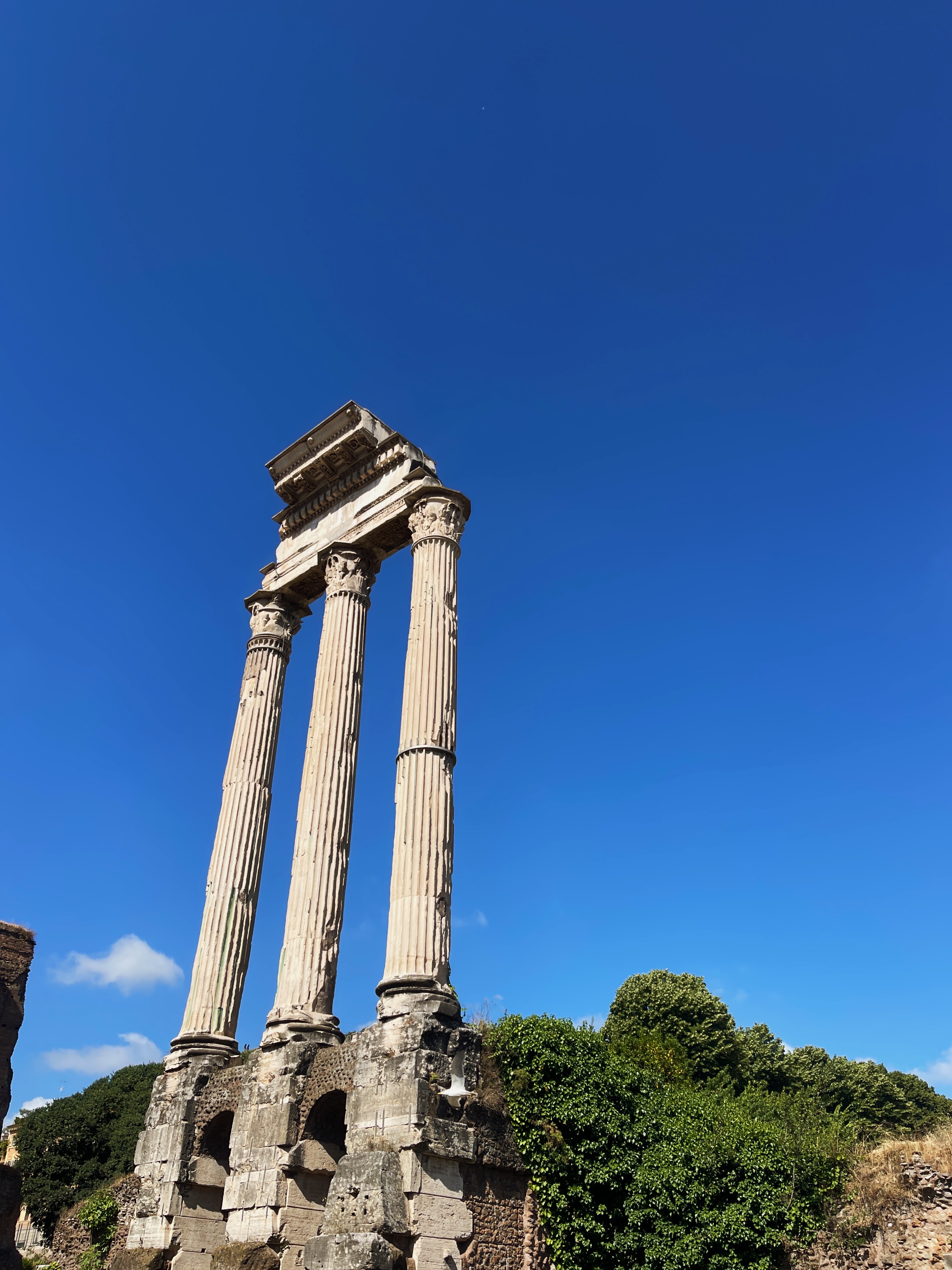 Rome city scene
