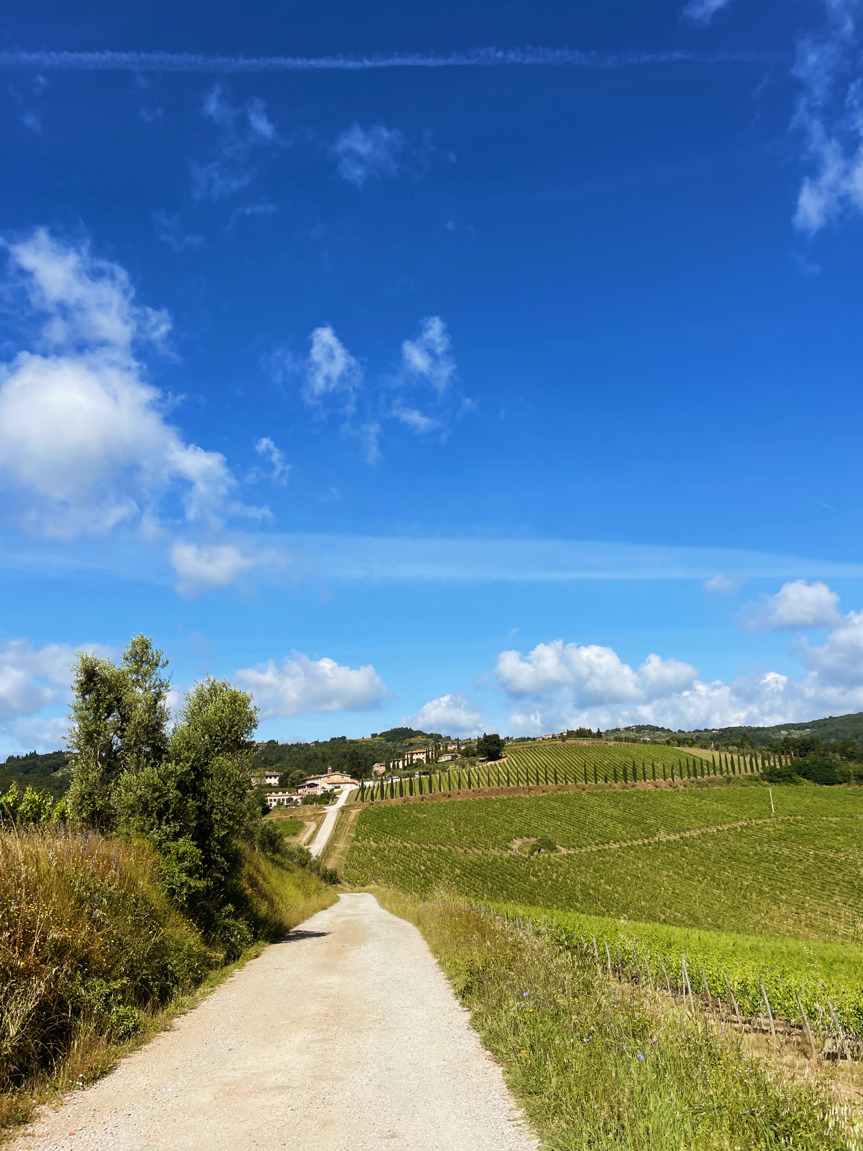 Tuscany landscapes